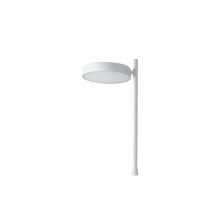 Load image into Gallery viewer, PASTILLE PIN W242P2